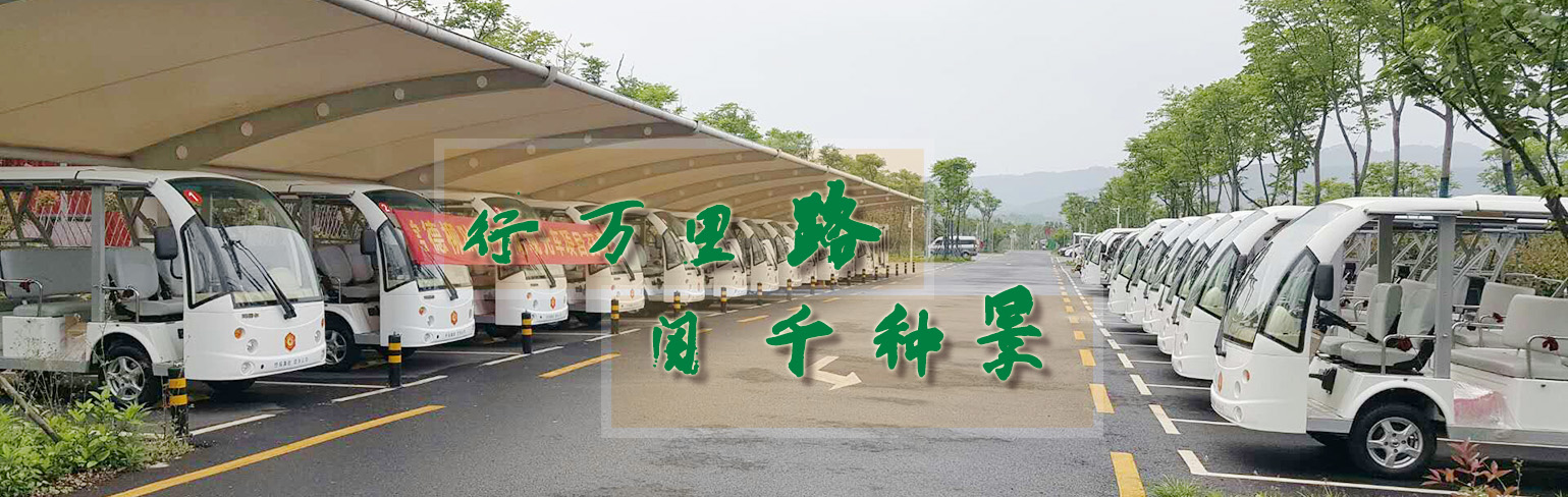 湖南電動觀光車