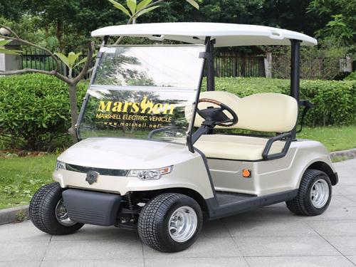 2座豪華香檳金高爾夫球車
