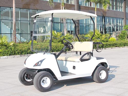 2座高爾夫球車DG-C22